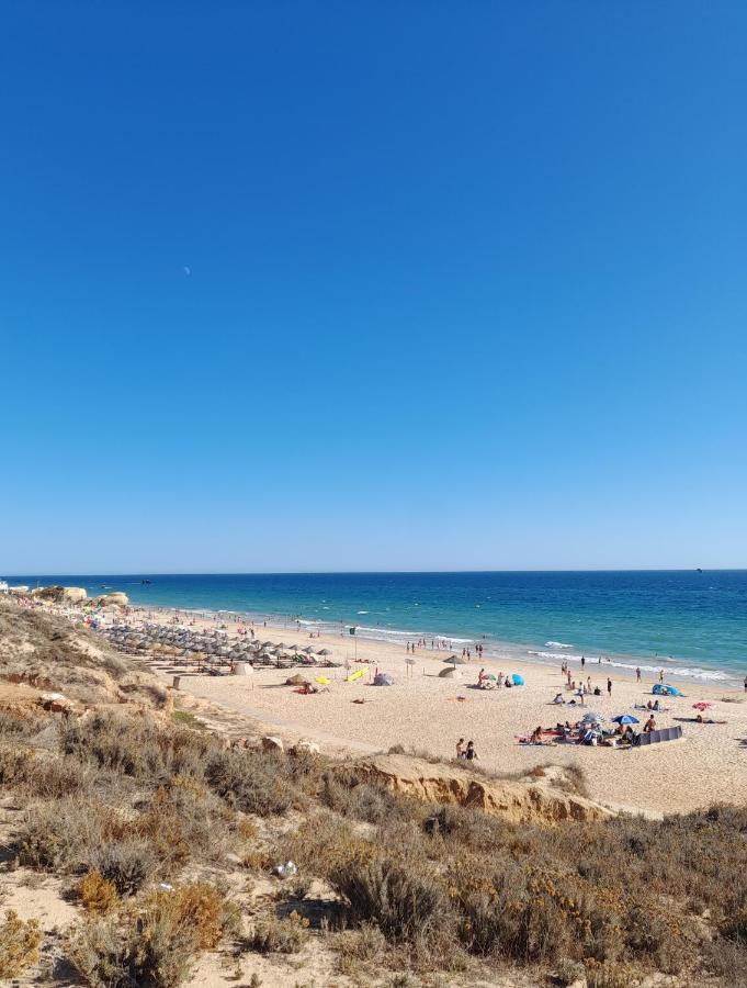 Estudio Puertorico T0 Em Albufeira Gale Εξωτερικό φωτογραφία